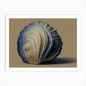 Clam Shell Hamptons style Art Print