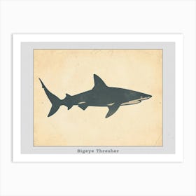 Bigeye Thresher Shark Grey Silhouette 4 Poster Art Print
