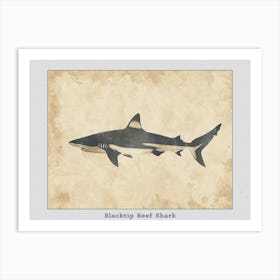 Blacktip Reef Shark Silhouette 3 Poster Art Print