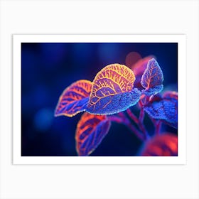 Florescence Art Print