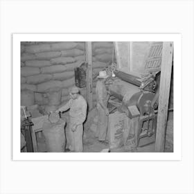Filling Bags With Feed Made From Peanut Shells And Strap Molasses,Peanut Shelling Plant, Comanche, Texas By Art Print