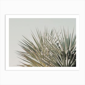 Minimalist Palm Leaves Art Print