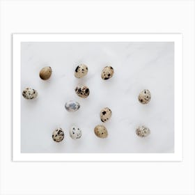 Quail Eggs 17 Art Print