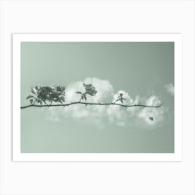 Life. Roses on a branch with thorns and a cloud. minimalism Art Print