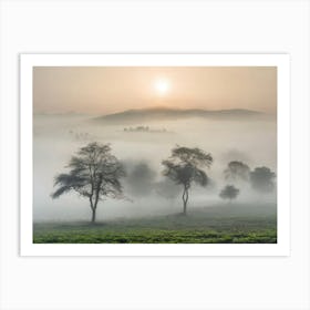 Sunrise In The Mist Art Print