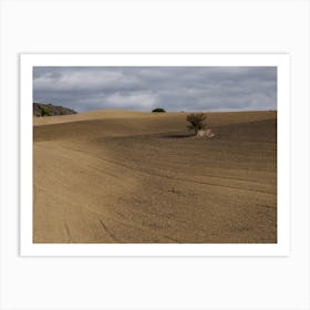 Lone Tree In A Field Art Print