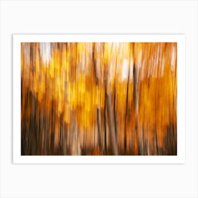Aspen Love - Fall Foliage Abstract Art Print