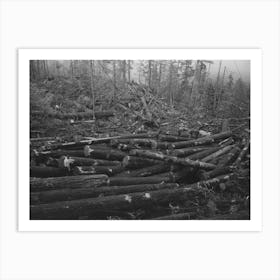 Untitled Photo, Possibly Related To Logs, Long Bell Lumber Company, Cowlitz County, Washington, In The Yar Art Print