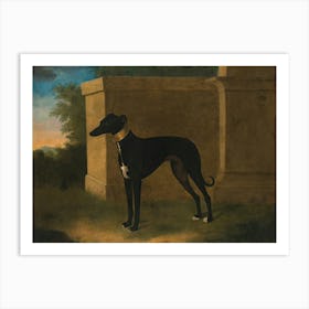 Vintage Greyhound In Front Of A Building Art Print