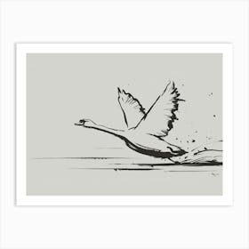 Swan In Flight Art Print