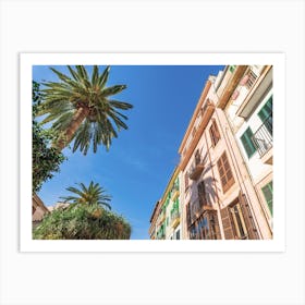 Italy Palm Tree In The Street Art Print