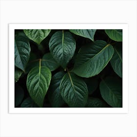 Green Leaves 1 Art Print