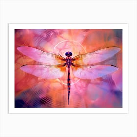 Dragonfly Roseate Skimmer Orthemis 6 Art Print