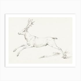 Reindeer Sketch Art Print