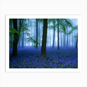 Bluebells In The Forest Art Print