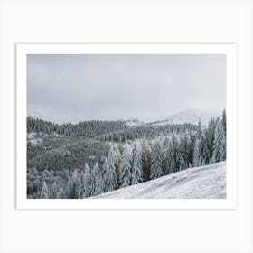 Snowy Forest Art Print