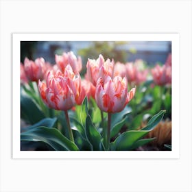 Tulips In The Garden 6 Art Print