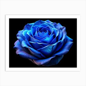 Solitary Blue Rose Against A Black Background Art Print