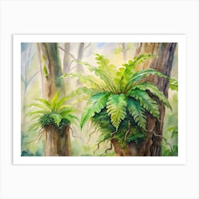 Ferns In The Forest 1 Art Print