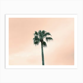 Palm Tree - Pink Sunset Sky - Photography Art Print