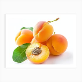 Apricots 11 Art Print