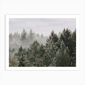 Foggy Pine Forest Art Print