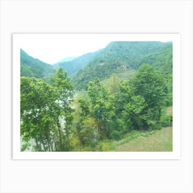 Forests 3 By Binod Dawadi Art Print