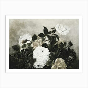 White Roses 1 Art Print