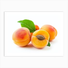 Apricots 12 Art Print