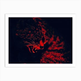 Felin Anger Art Print