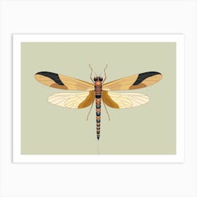 Dragonfly Halloween Pennat Celithemis 3 Art Print