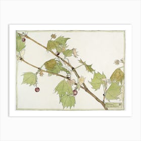 Sycamore (1915), Hannah Borger Overbeck Art Print