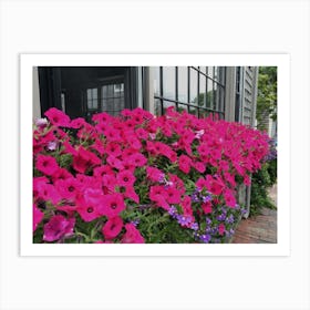 Pink Flower Box (Nantucket Series) Art Print