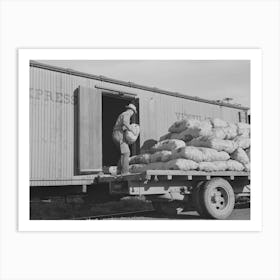 Loading Sacked Potatoes Into Railroad Car, Klamath County, Oregon By Russell Lee Art Print