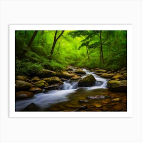 Stream In The Woods Art Print