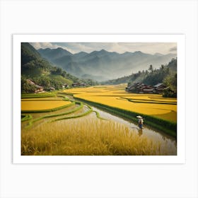 Rice Fields In Vietnam Art Print