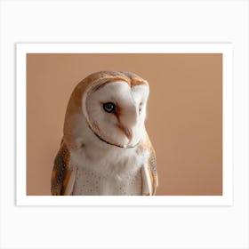 Barn Owl 11 Art Print