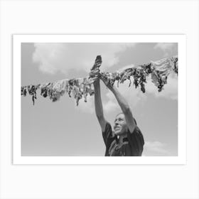 Spanish American Woman Hanging Up Meat To Dry, Chamisal, New Mexico By Russell Lee Art Print