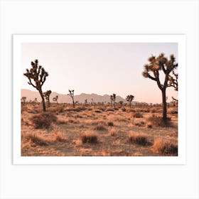 Hot Desert Scenery Art Print