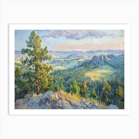 Western Landscapes Black Hills South Dakota 3 Art Print