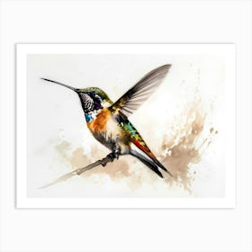 Kolibri Hummingbird - Water Color Painting 9 Art Print