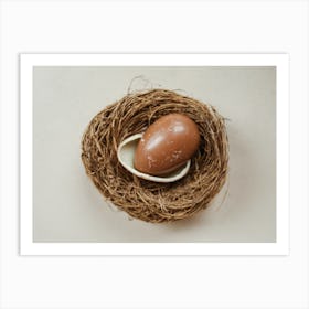 Egg In A Nest 1 Art Print