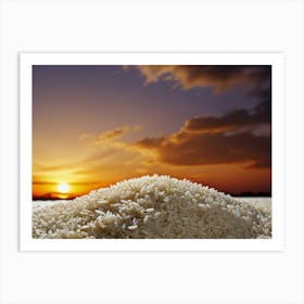 Sunset Over Rice Art Print