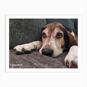 Sleepy puppy Art Print