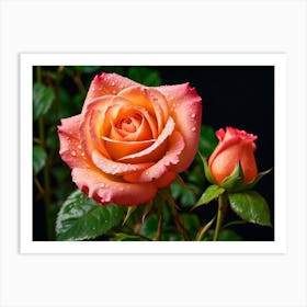 Bright Rose Art Print