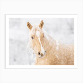 Palomino Horse In Winter Art Print