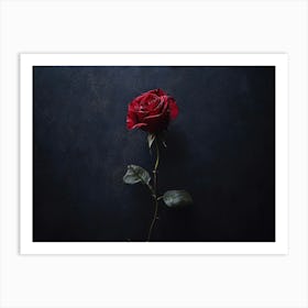 Single Red Rose Art Print