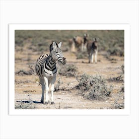 Zebras At Etosha National Park Namibia Affiche