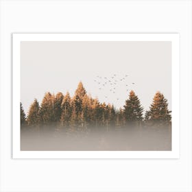 Foggy Fall Trees Art Print