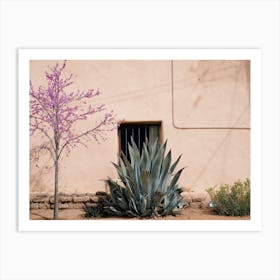 Desert Home Garden Art Print